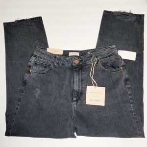 NWT DL1961 Jerry High Waist Vintage Crop Jeans 29